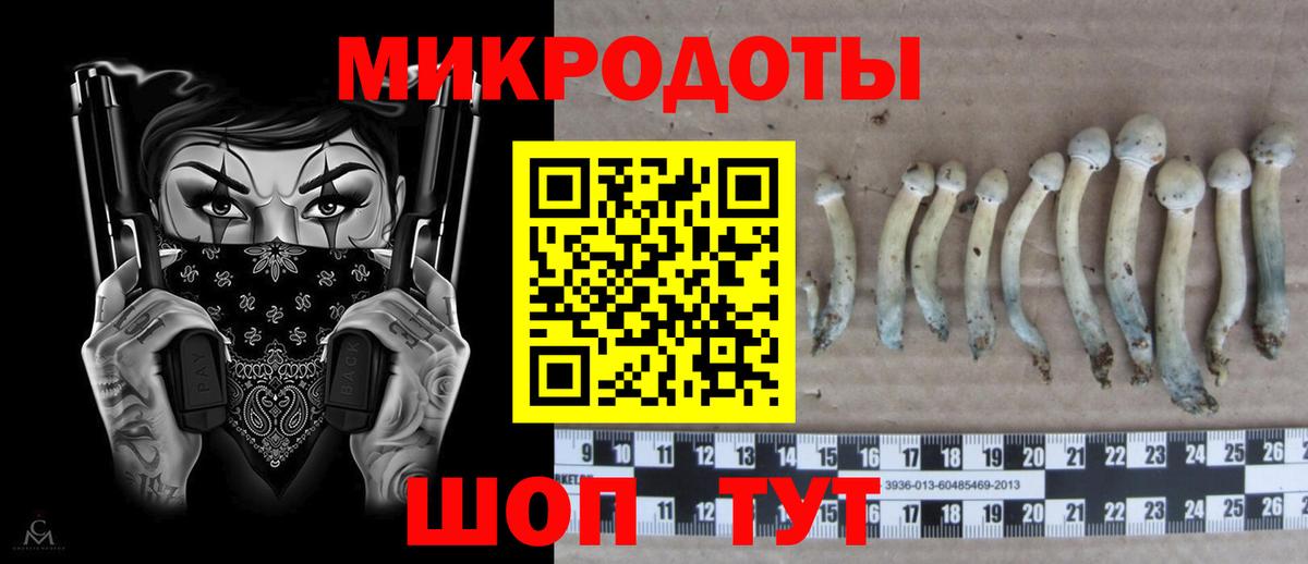 Галлюциногенные грибы мухоморы Ревда