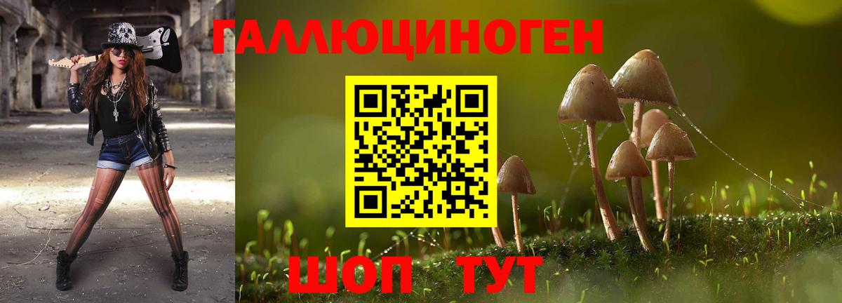 Галлюциногенные грибы мухоморы  Вход с VPN  Ревда 